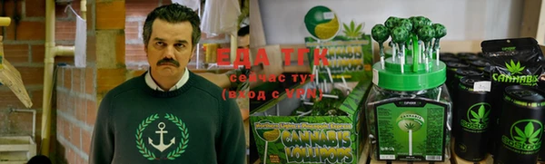 ГАЛЛЮЦИНОГЕННЫЕ ГРИБЫ Вязьма