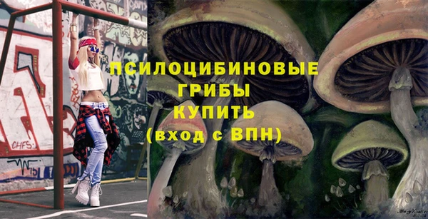 ГАЛЛЮЦИНОГЕННЫЕ ГРИБЫ Вязьма