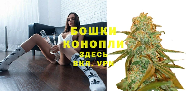 ГАЛЛЮЦИНОГЕННЫЕ ГРИБЫ Вязьма