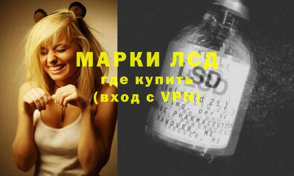 ГАЛЛЮЦИНОГЕННЫЕ ГРИБЫ Вязьма