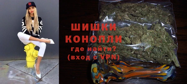 ГАЛЛЮЦИНОГЕННЫЕ ГРИБЫ Вязьма