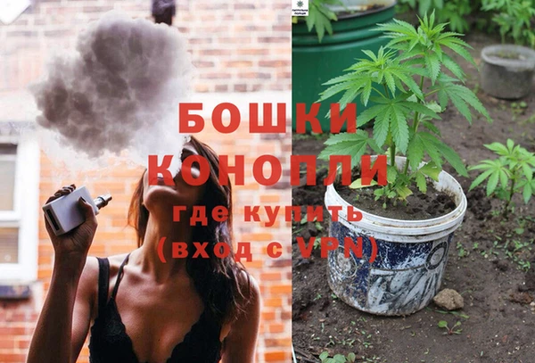 ГАЛЛЮЦИНОГЕННЫЕ ГРИБЫ Вязьма