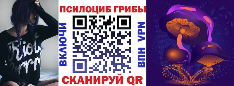 Галлюциногенные грибы ЛСД хочу MEGA как войти Иваново